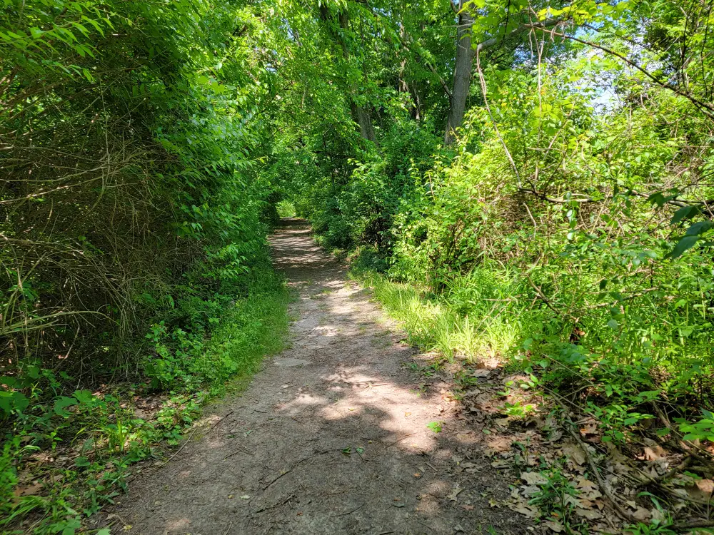 hiking trails