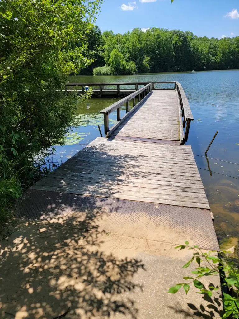 fishing at potato creek state park