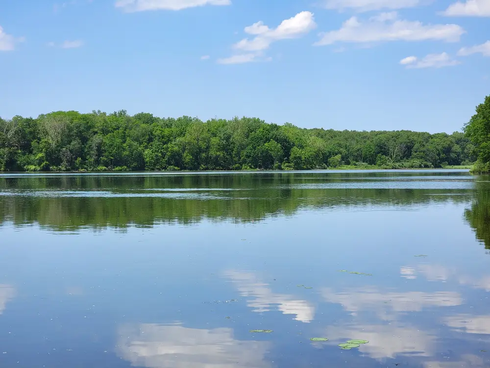 potato creek state park entrance fees