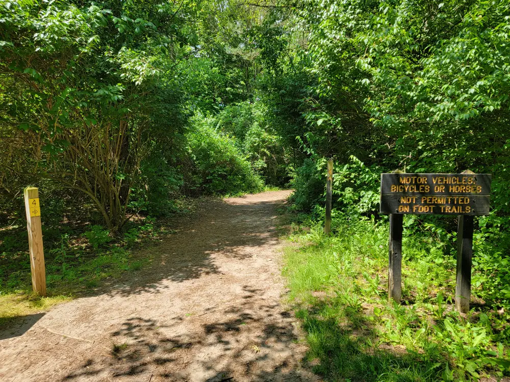 hiking-trails5